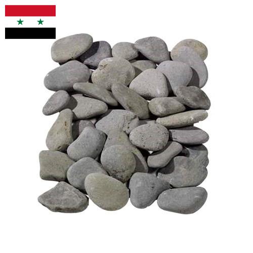 косточки из Сирийской Арабской Республики