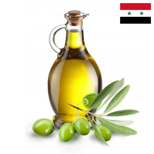 Масло оливковое из Сирийской Арабской Республики