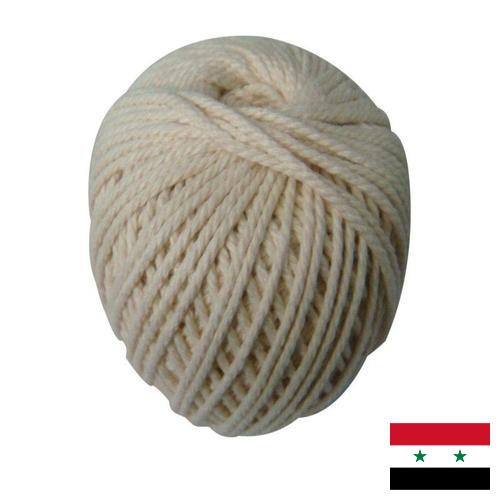 нить хлопчатобумажная из Сирийской Арабской Республики