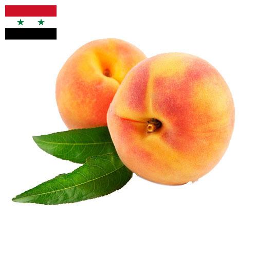 Персики из Сирийской Арабской Республики