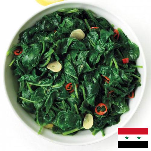 Шпинат из Сирийской Арабской Республики