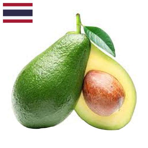 Авокадо из Таиланда