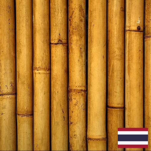 Бамбук из Таиланда