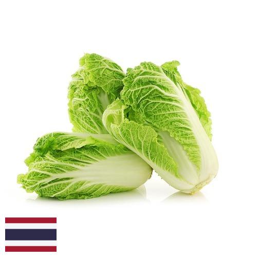 капуста пекинская из Таиланда