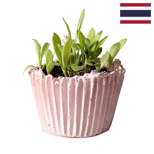 Кашпо из Таиланда