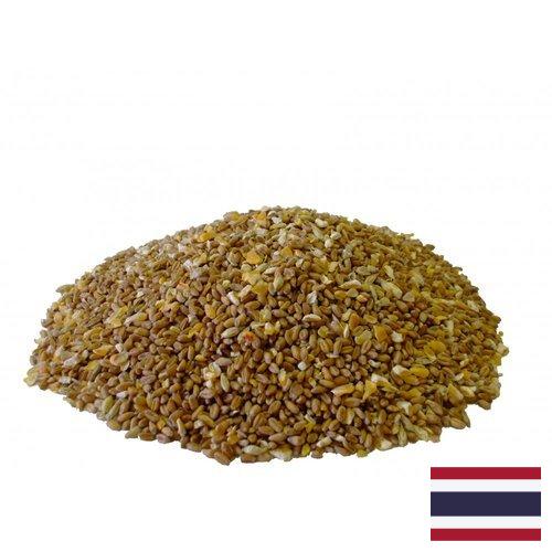 Корма для птицеводства из Таиланда