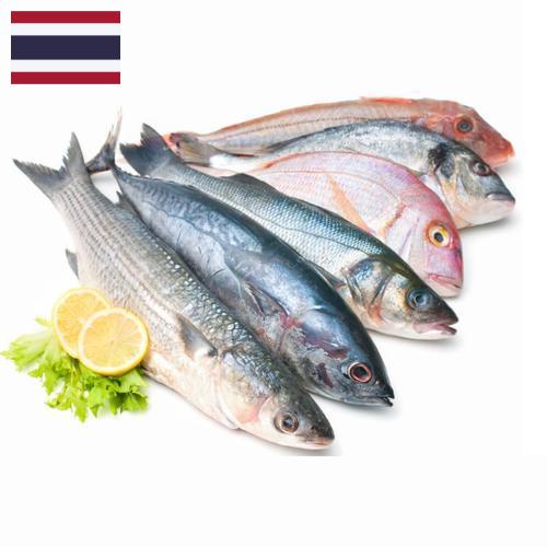 Морепродукты из Таиланда