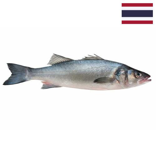 Окунь морской из Таиланда