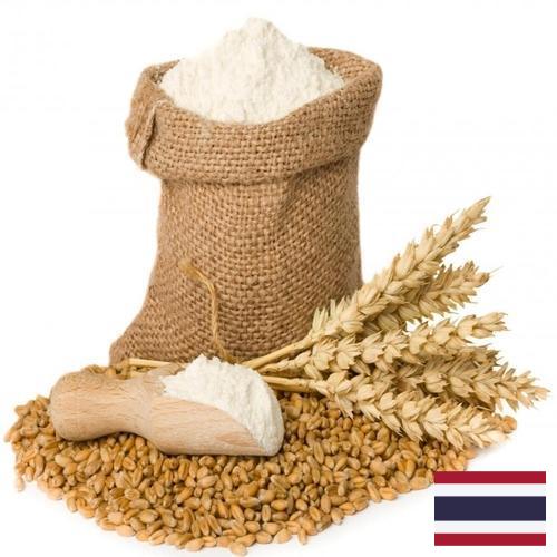 Пшеничная мука из Таиланда