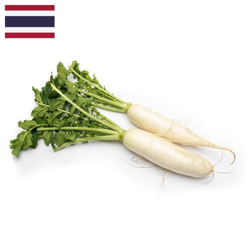 редиска из Таиланда