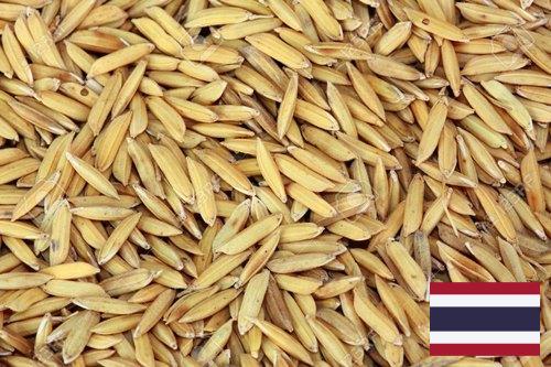 рис сырец из Таиланда