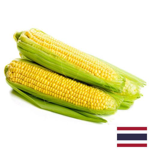 Сахарная кукуруза из Таиланда