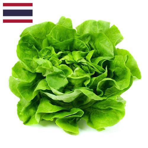салат из Таиланда