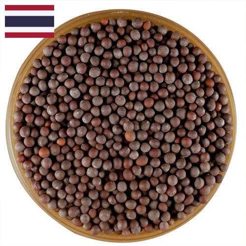 семена горчица из Таиланда