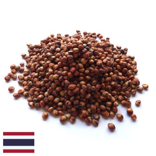 Сорго из Таиланда