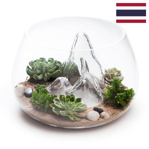 Террариумы из Таиланда