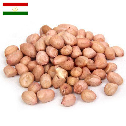арахис сырой из Таджикистана