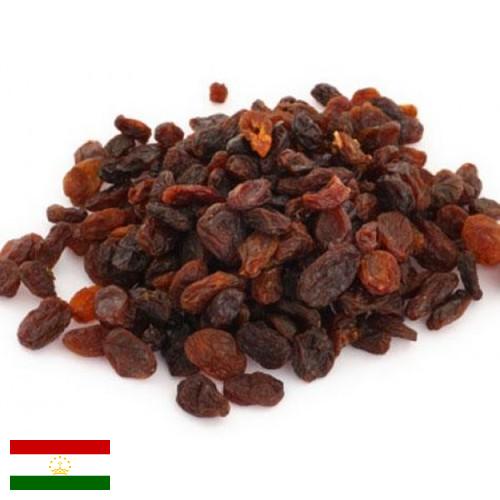 Изюм из Таджикистана