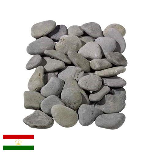косточки из Таджикистана