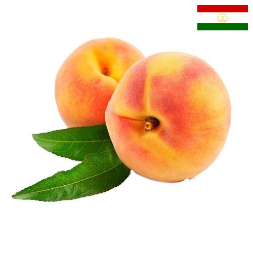 Персики из Таджикистана