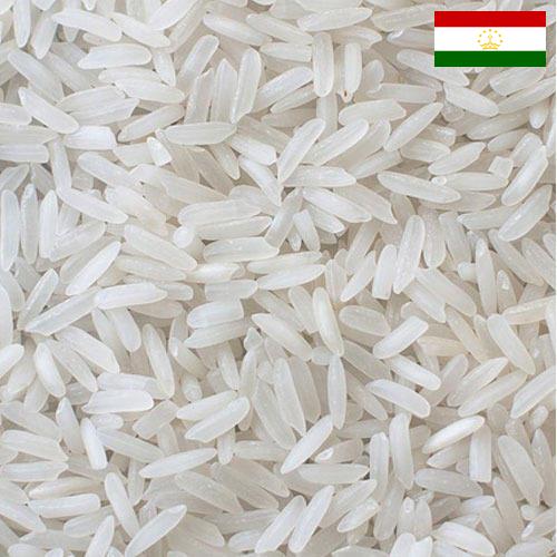 рис длиннозерный из Таджикистана