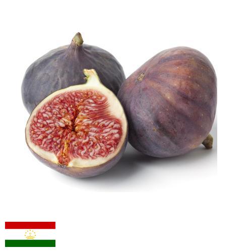 Рис из Таджикистана