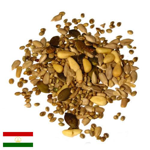 Семена из Таджикистана