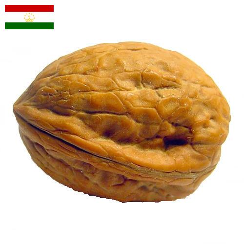 Скорлупа грецкого ореха из Таджикистана