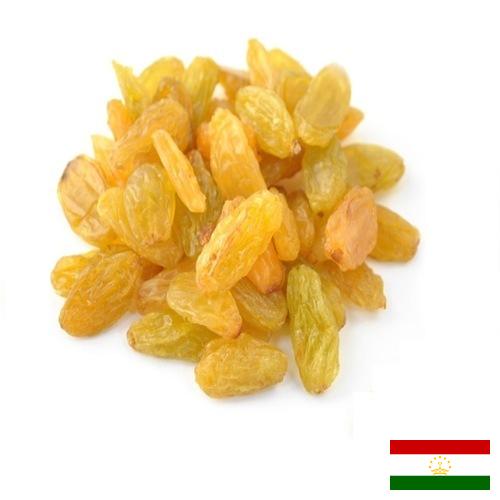 виноград сушеный из Таджикистана