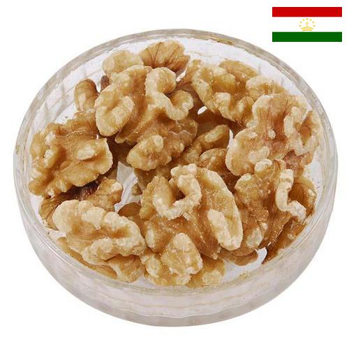 Ядра орехов из Таджикистана