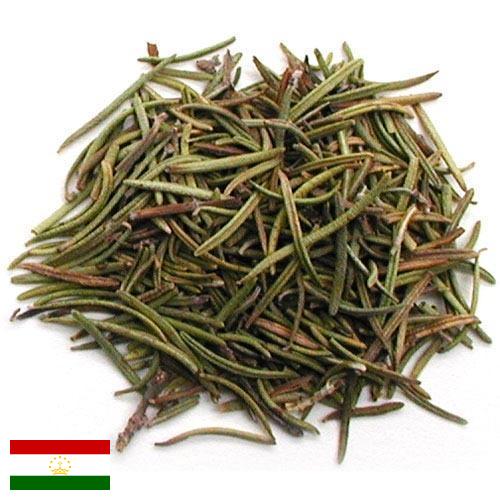 зелень сушеная из Таджикистана