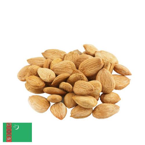 Абрикосовые косточки из Туркмении