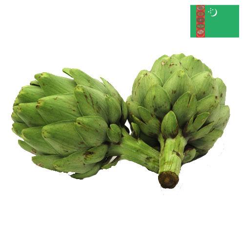 артишок из Туркмении