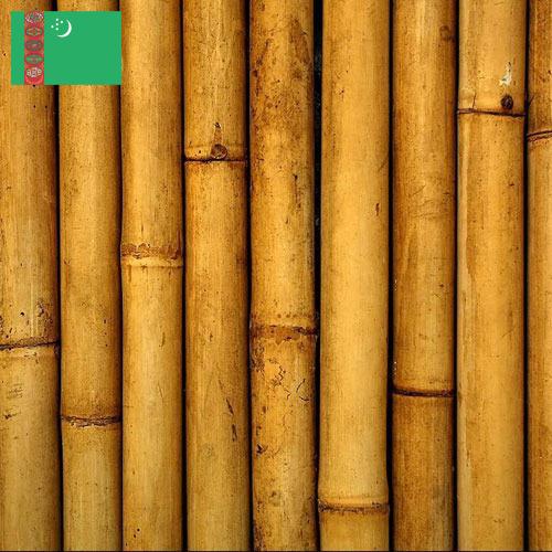 Бамбук из Туркмении