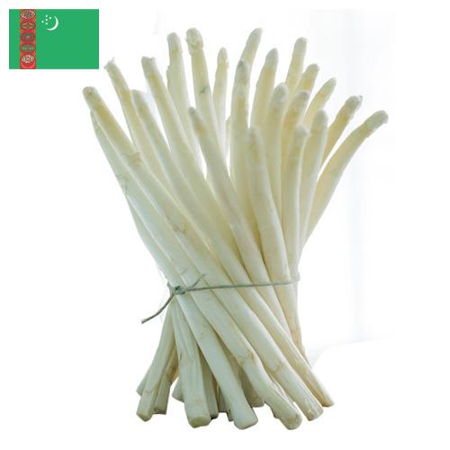 белая спаржа из Туркмении