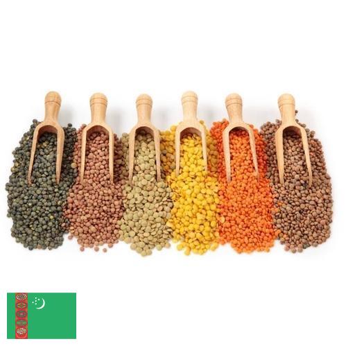 Бобовые культуры из Туркмении