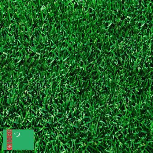 Газонная трава из Туркмении