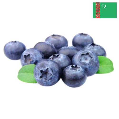 Голубика из Туркмении