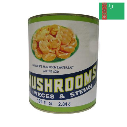 Грибы консервированные из Туркмении