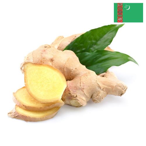 Имбирь из Туркмении