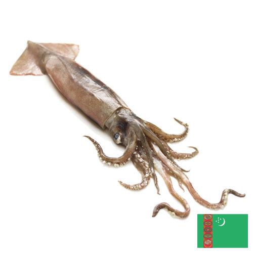 Кальмары из Туркмении