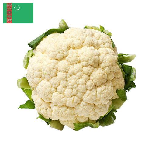 Капуста цветная из Туркмении