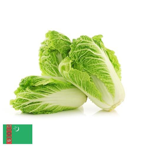 Капуста китайская из Туркмении