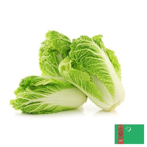 капуста пекинская из Туркмении