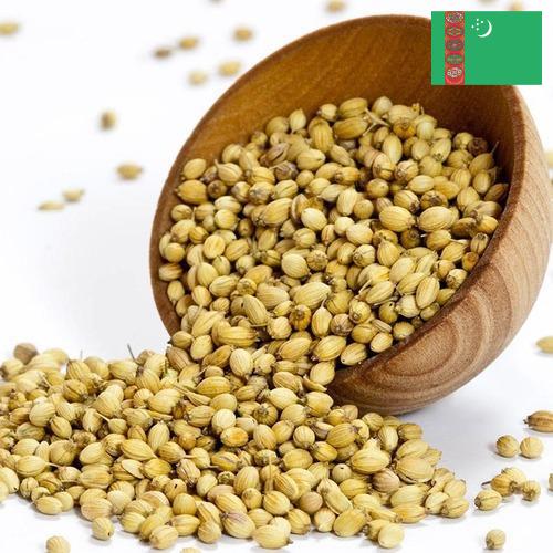 Кориандр из Туркмении