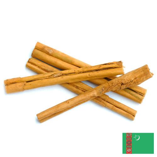Корица из Туркмении
