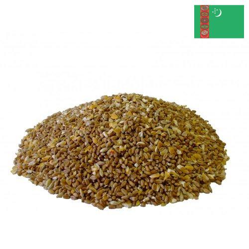 Корма для птицеводства из Туркмении