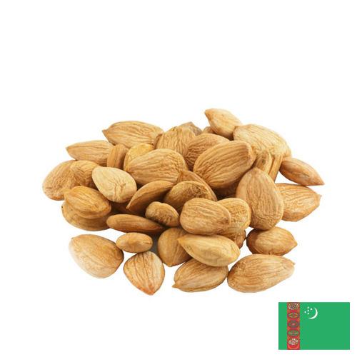 косточки абрикоса из Туркмении