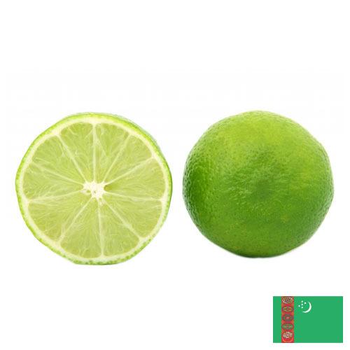 лайм из Туркмении