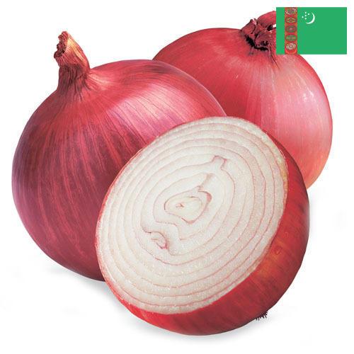 Лук красный из Туркмении